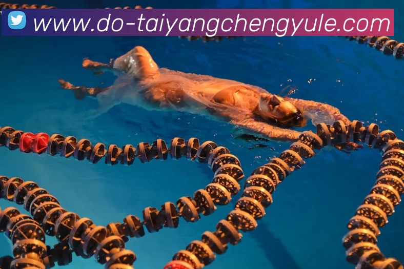 澳门太阳城平台生态图